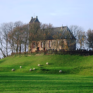 Terp Hegebeintum